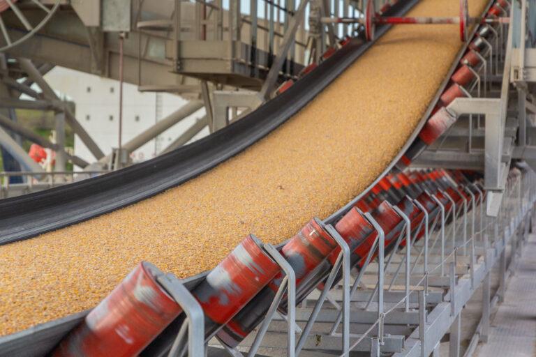 How to Select the Right Grain Conveyor Belt