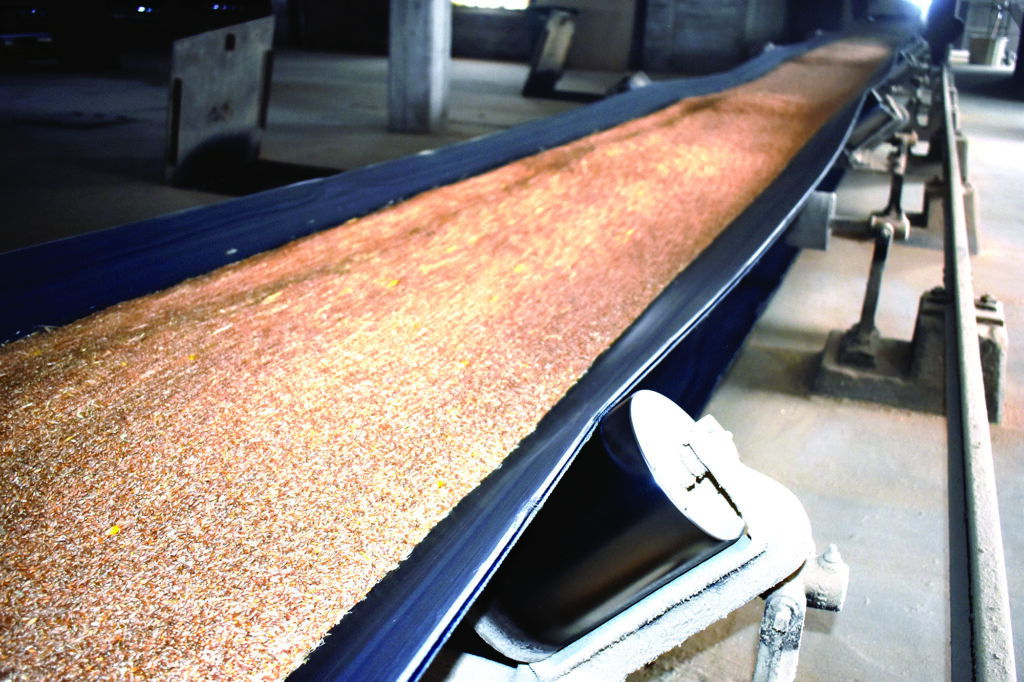 Indoor Grain Conveyor Belt